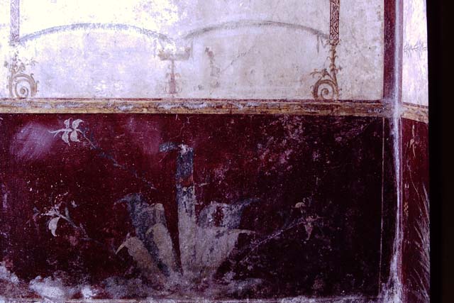 VI.8.24 Pompeii, 1968. Painted plant from west end of south wall of zoccolo in triclinium in south-east corner of atrium. Photo by Stanley A. Jashemski.
Source: The Wilhelmina and Stanley A. Jashemski archive in the University of Maryland Library, Special Collections (See collection page) and made available under the Creative Commons Attribution-Non-Commercial License v.4. See Licence and use details. J68f0733  

