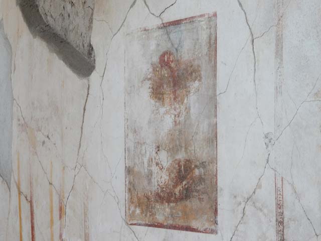 VI.8.24 Pompeii. May 2017. Central painting from west wall of triclinium. Photo courtesy of Buzz Ferebee. The severely damaged central still life painting from the west wall showed a rooster with its legs tied, in front of a bowl of fruit and a bunch of grapes. 
