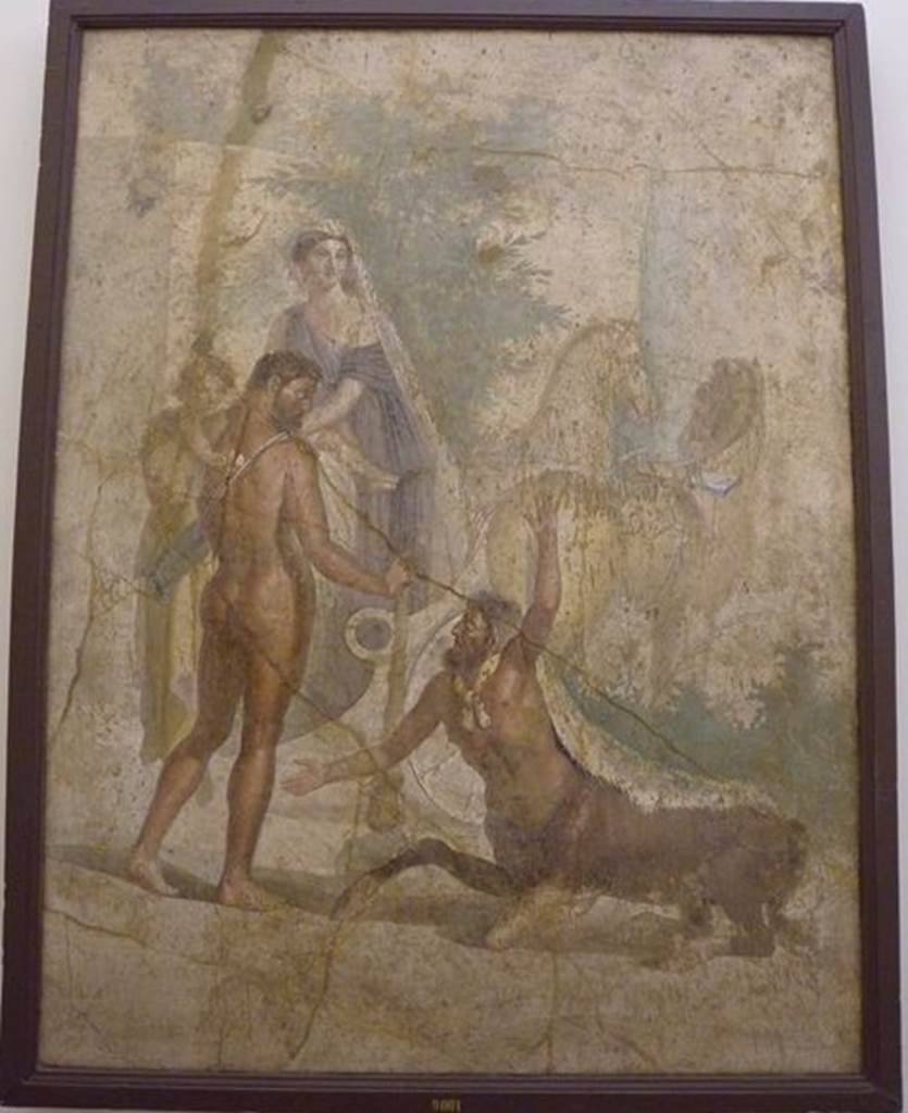 VI.9.5 Pompeii.  Found 27th April 1829.  Tablinum.  South wall.  Wall painting of Hercules, Nessus and Deianeira.  Now in Naples Archaeological Museum.  Inventory number 9001.