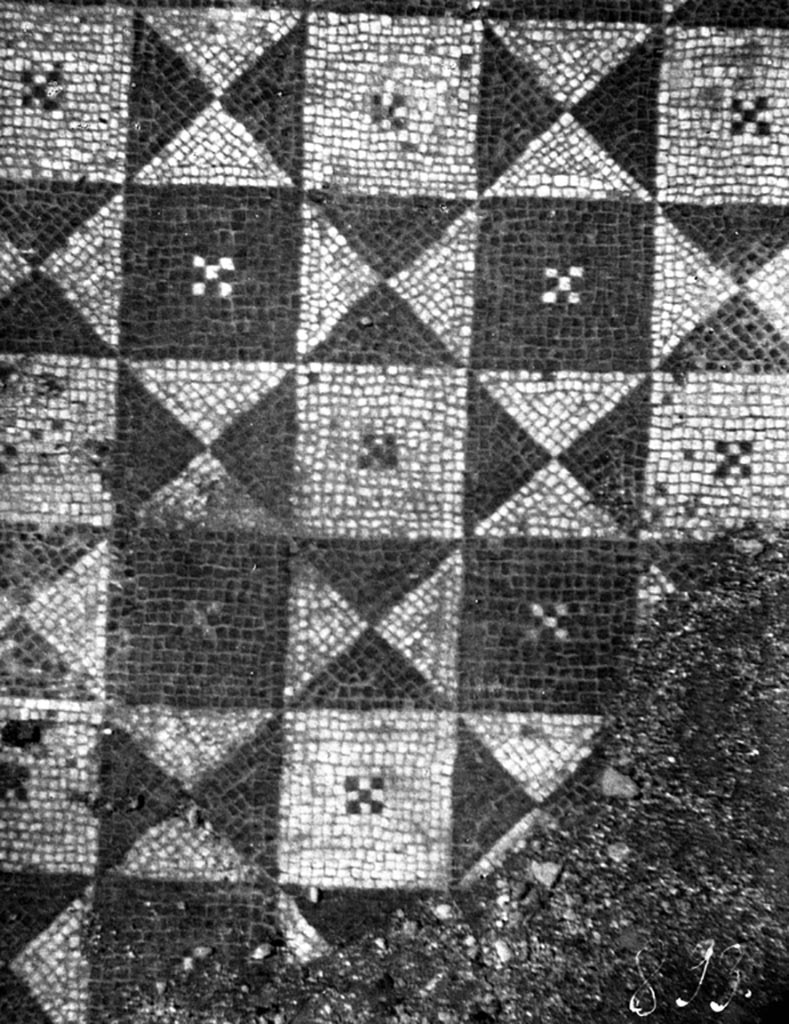 VI.9.5 Pompeii. W714. Mosaic floor from room 24.
Photo by Tatiana Warscher. Photo © Deutsches Archäologisches Institut, Abteilung Rom, Arkiv. 
