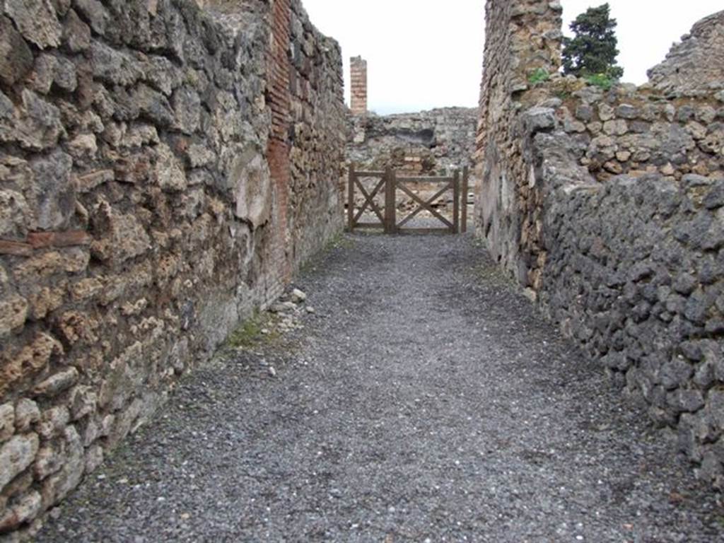 VI.10.14 Pompeii. March 2009. Room 1, entrance fauces or corridor.