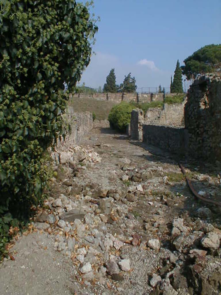 VI.9 Pompeii. September 2005. Vicolo del Fauno looking north towards city walls. VI.11.6