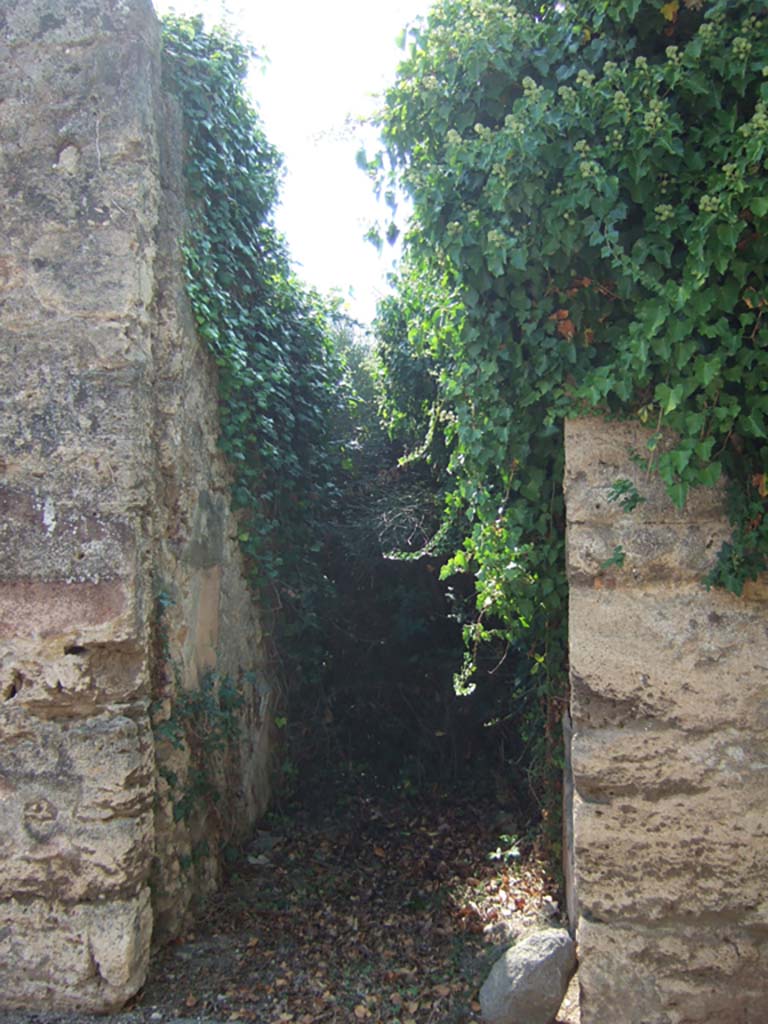 VI.11.19 Pompeii. September 2005. Overgrown entrance doorway.
According to Wallace-Hadrill, this was the main entrance to the atrium, at number 18 was the back entrance to the yard, and at number 20 was a workshop with stairs to the upper floor.  Originally there were style III and style IV decorations found in three rooms. See Wallace-Hadrill, A. (1994): House and Society in Pompeii and Herculaneum. Princeton University Press, (p. 210)
