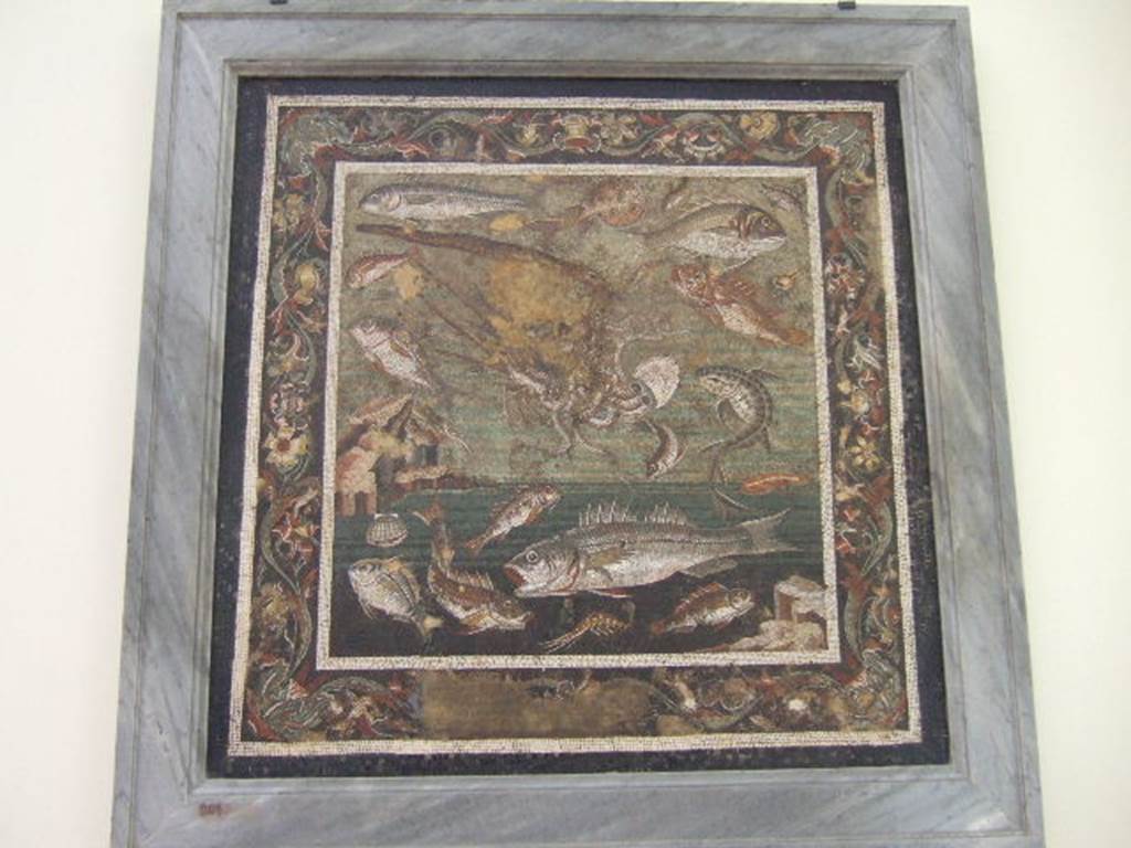 VI.12.2 Pompeii. Found in the other of the two dining rooms at the side of the tablinum. Floor Mosaic of fishes and marine life. Now in Naples Archaeological Museum. Inventory number 9997. See Mau, A., 1907, translated by Kelsey F. W. Pompeii: Its Life and Art. New York: Macmillan. (p.292-3). Found 1st November 1830, see PAH II, 241.
