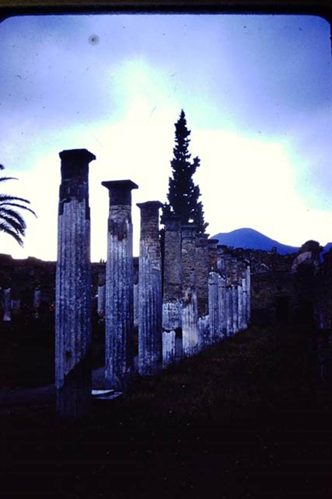 VI.12.2 Pompeii. 1955. Looking north along the east side of the rear peristyle. Photo by Stanley A. Jashemski.
Source: The Wilhelmina and Stanley A. Jashemski archive in the University of Maryland Library, Special Collections (See collection page) and made available under the Creative Commons Attribution-Non Commercial License v.4. See Licence and use details.
J55f0485
