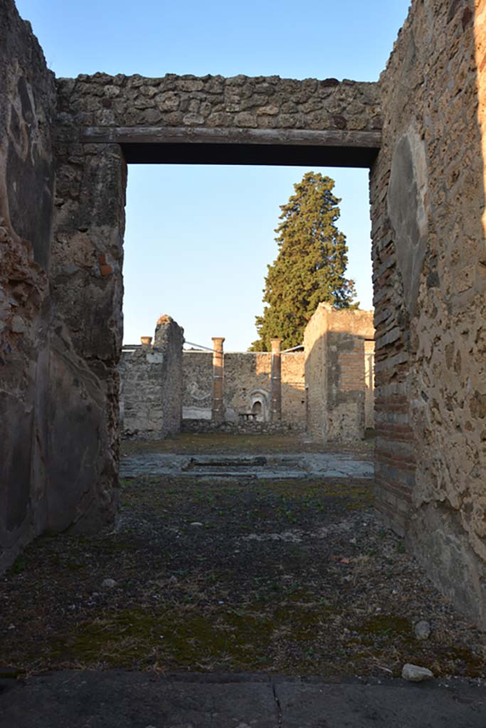 VI.13.13 Pompeii. May 2015. Detail of flooring of entrance vestibule.
Photo courtesy of Buzz Ferebee.
