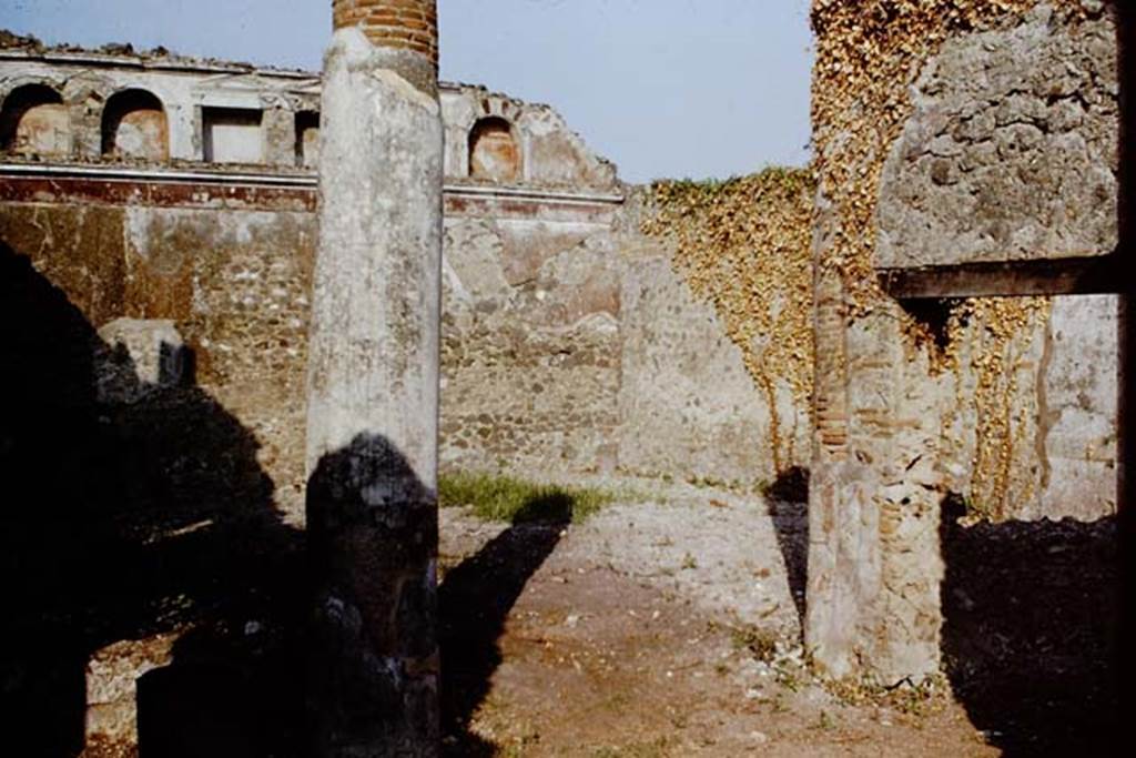 VI.13.19 Pompeii. September 2005. Looking east through tablinum towards west portico and garden.