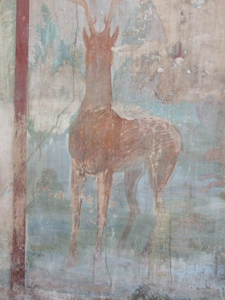 VI.14.20  Pompeii.  March 2009. Room 18.  Garden area.  West wall. Stag.