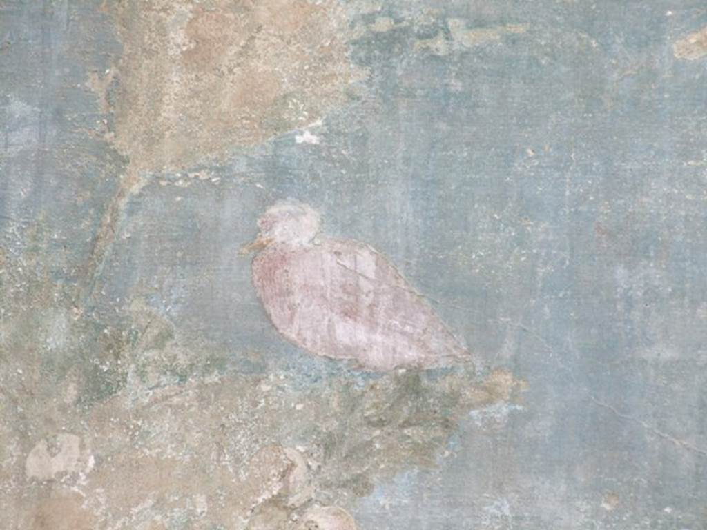VI.14.20  Pompeii.  March 2009. Room 18.  Garden area.  West wall.  Painted bird.