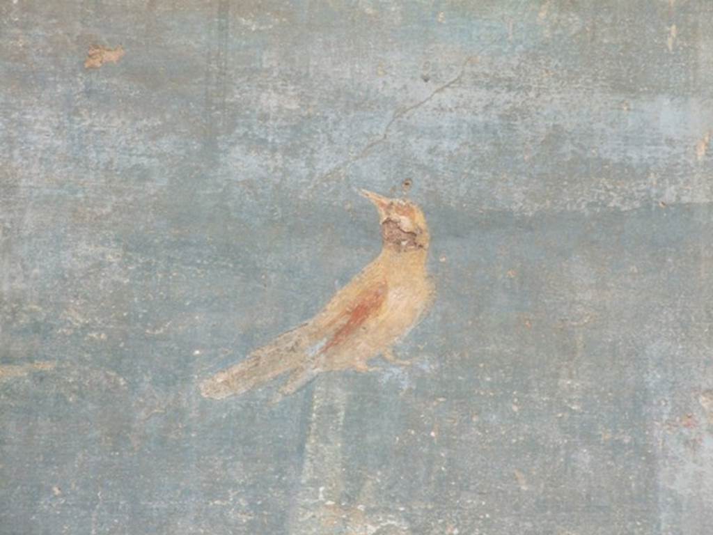 VI.14.20 Pompeii. March 2009. Room 18, painted bird from west wall of garden area.
