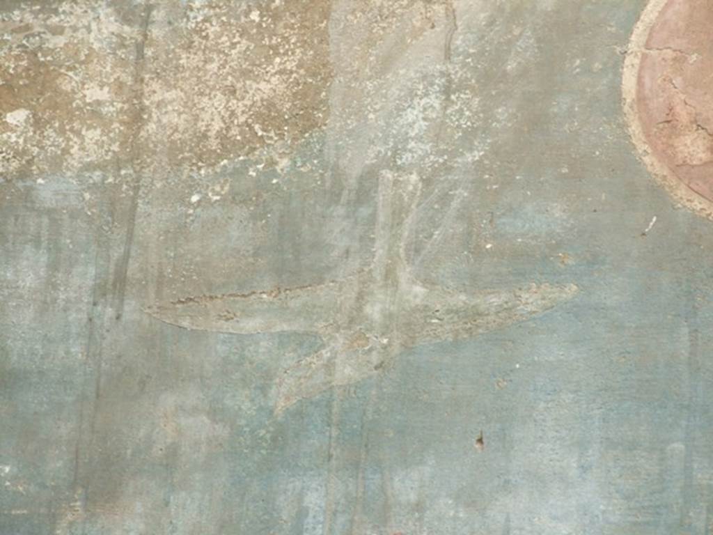 VI.14.20  Pompeii.  March 2009. Room 18.  Garden area.  West wall, Painted bird.