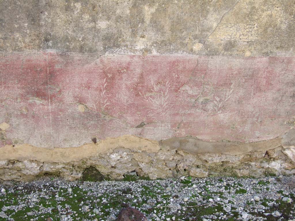VI.14.20 Pompeii. March 2009. Room 10, remains of painted plant decoration on centre of south wall in triclinium.