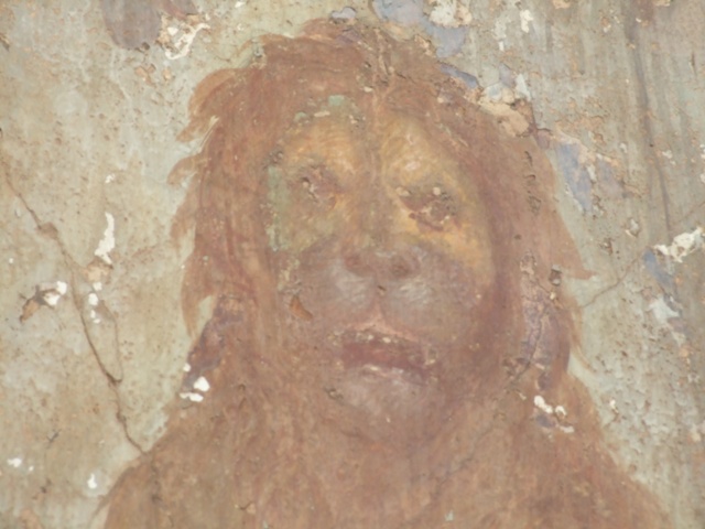 VI.14.20 Pompeii. March 2009. Room 18, detail of painted lion on west wall of garden area.