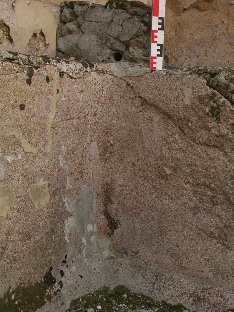 VI.14.22 Fullonica of Balbinus.  December 2007.  Room 12.  West wall.  Remains of wall painting with figure.