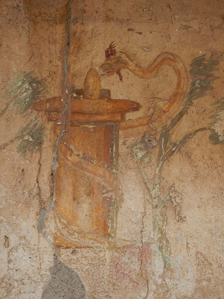 VI.14.43 Pompeii.  December 2007.  Niche with painted altar with plants and serpent.  
According to Boyce, in the north wall of the peristyle is a rectangular niche.
On the back wall is painted a yellow cylindrical altar, on a rectangular base between two trees.
Around the altar coils a yellow serpent with red crest and beard, raising its head to the egg on top.
A tall rectangular panel on the wall around the niche was outlined with a red stripe, as was the opening of the niche itself. Below the niche were seven graffiti, CIL IV 1533-1539. See Boyce G. K., 1937. Corpus of the Lararia of Pompeii. Rome: MAAR 14. (p.54, no.209, with Pl.8, 2 and 3) 
See Giacobello, F., 2008. Larari Pompeiani: Iconografia e culto dei Lari in ambito domestico.  Milano: LED Edizioni. (p.275) See Fröhlich, T., 1991. Lararien und Fassadenbilder in den Vesuvstädten. Mainz: von Zabern. (p.279, L69, some plaster fallen and part of niche destroyed).
