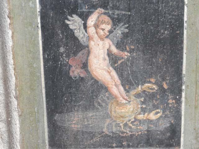 VI.15.1 Pompeii. May 2017. Detail of painted cupid on crab on west wall of atrium, leading onto peristyle. Photo courtesy of Buzz Ferebee.
