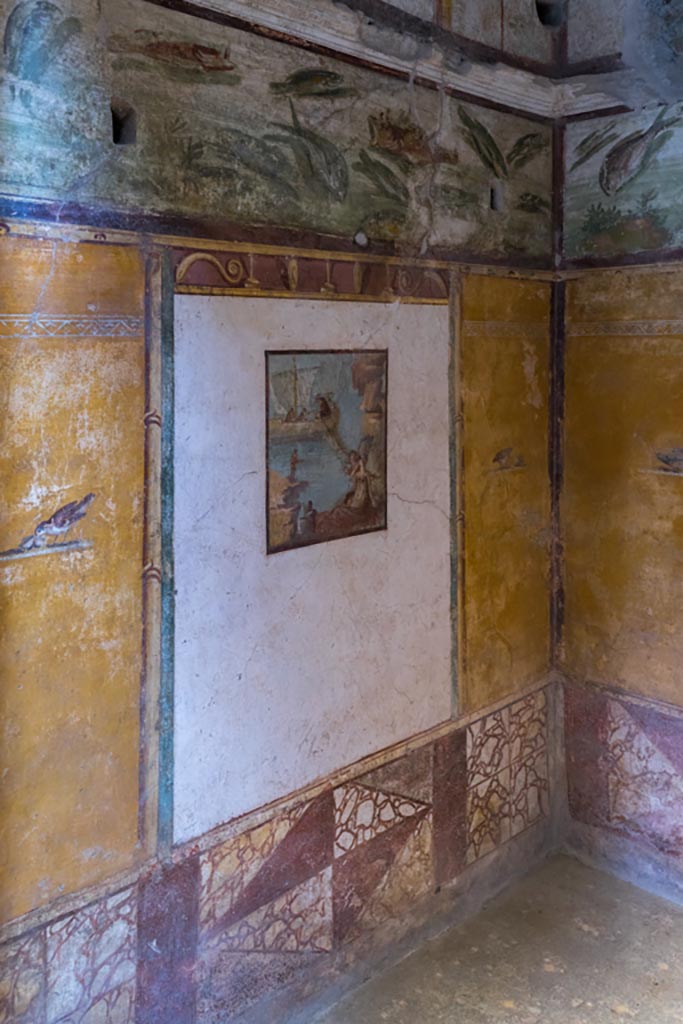 VI.15.1 Pompeii. May 2017. Upper north wall in bedroom on left of main entrance.
Photo courtesy of Buzz Ferebee.
