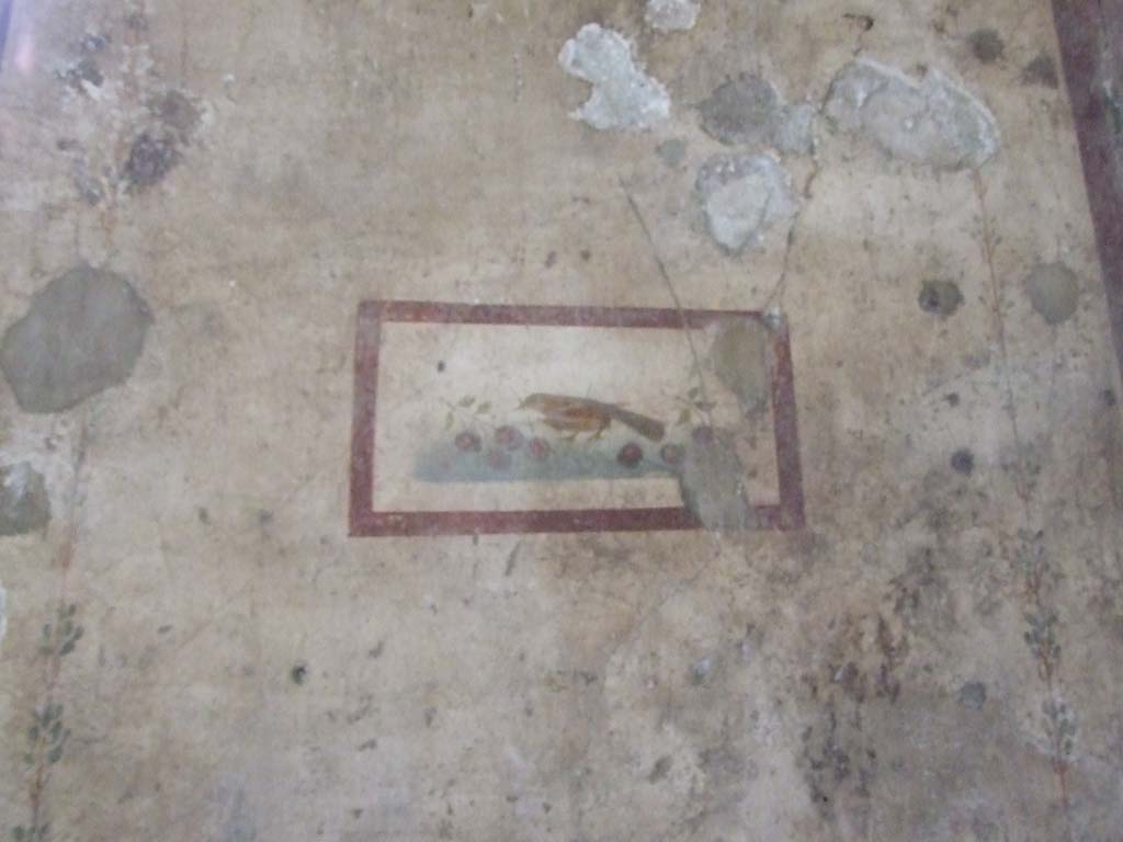 VI.15.1 Pompeii. May 2017. Painted panel from west end of north wall. Photo courtesy of Buzz Ferebee.
