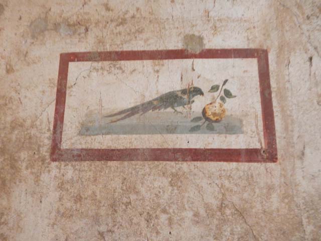 VI.15.1 Pompeii.  December 2006. Detail of bird painting in bedroom leading from Atrium.