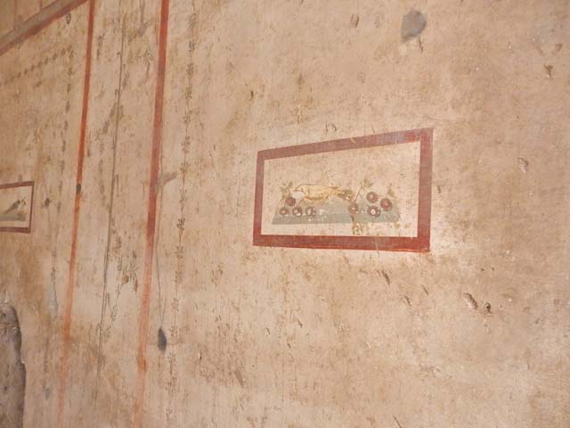 VI.15.1 Pompeii. May 2017. West end of south wall. Photo courtesy of Buzz Ferebee.