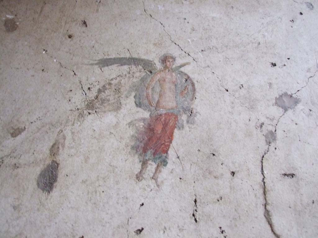 VI.15.1 Pompeii. May 2017. Painted cupid from north end of west wall.  Photo courtesy of Buzz Ferebee.
