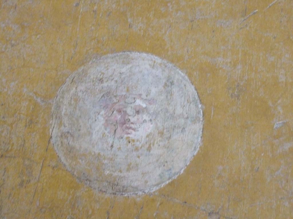 VI.15.1 Pompeii. December 2006. Detail of medallion painting on south wall of ala on south side of atrium.