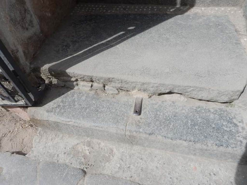 VI.15.1 Pompeii. May 2015. Threshold and flooring from entrance to vestibule.
Photo courtesy of Buzz Ferebee.

