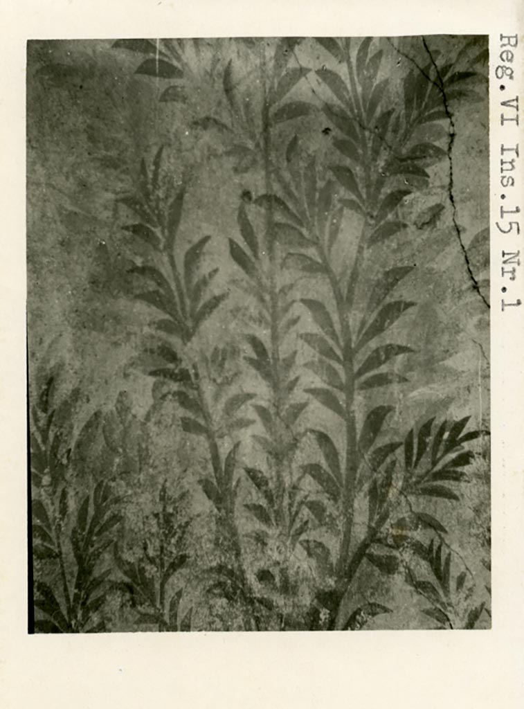 VI.15.1 Pompeii. Pre-1937-39. 
Painted panel on zoccolo of west wall of peristyle, with detail of painted oleander bush. 
Photo courtesy of American Academy in Rome, Photographic Archive. Warsher collection no. 688.
