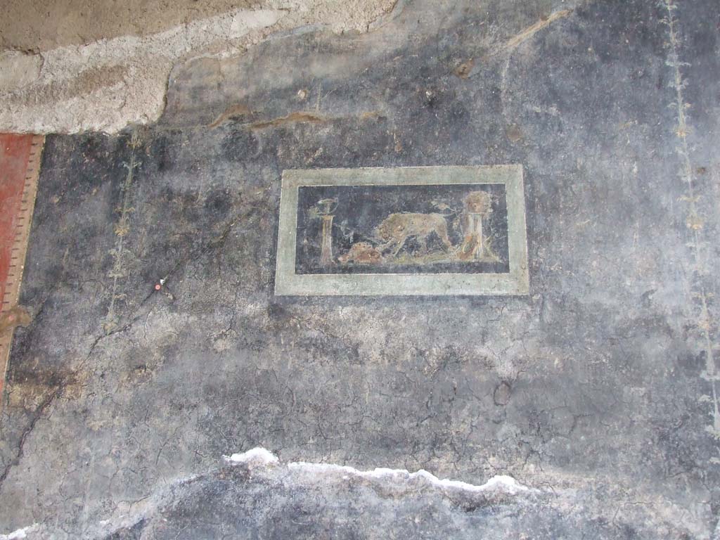 VI.15.1 Pompeii. December 2006. Detail from west wall of peristyle.