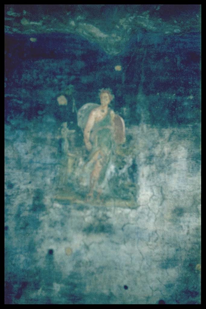 VI.15.1 Pompeii. Painting of figure from west wall of peristyle. 
Photographed 1970-79 by Günther Einhorn, picture courtesy of his son Ralf Einhorn.
According to Kuivalainen – 
this scene shows a nocturnal ritual by a Maenad in front of a bearded fully robed very small statue of Bacchus.
See Kuivalainen, I., 2021. The Portrayal of Pompeian Bacchus. Commentationes Humanarum Litterarum 140. Helsinki: Finnish Society of Sciences and Letters, (p.81, A5).
