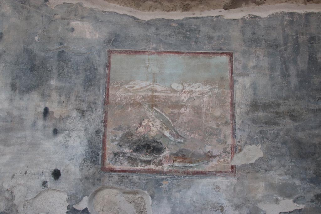 VI.15.1 Pompeii. October 2023. 
West wall of peristyle, in the sixth panel from the south end, a painting of fish (59cm x 62cm). Photo courtesy of Klaus Heese.
