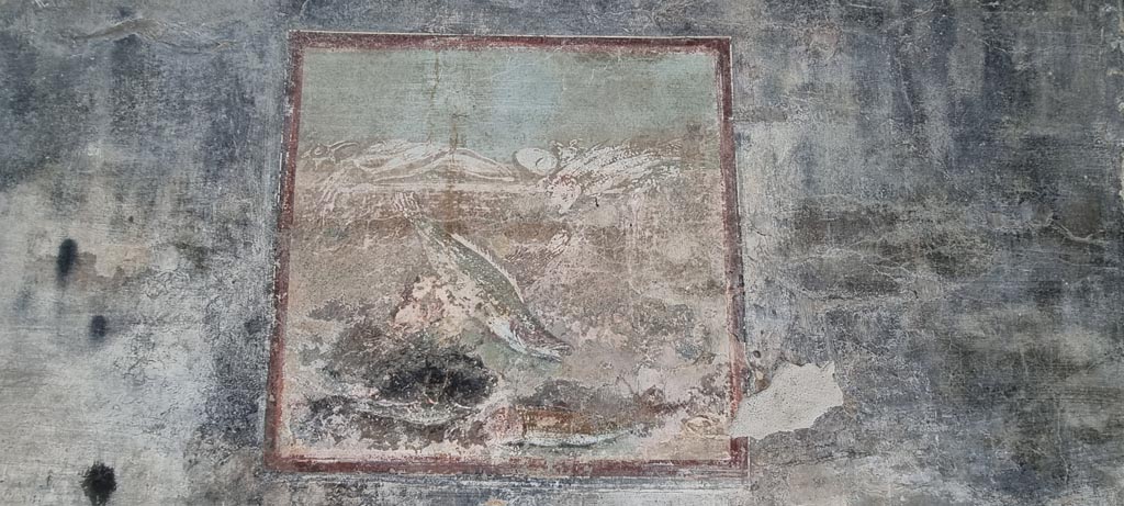 VI.15.1 Pompeii. January 2023. Painting (59cm x 62cm) of fish from north end of west wall of peristyle. Photo courtesy of Miriam Colomer.

