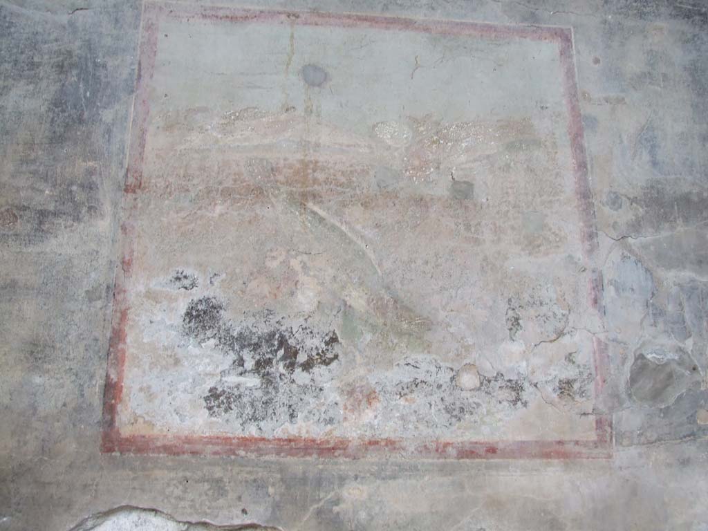 VI.15.1 Pompeii. December 2006. Painting of fishes from west wall of peristyle.