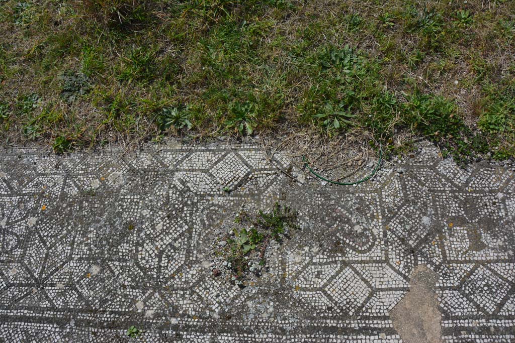 VI 15 5 Pompeii. March 2019. Tablinum 7, mosaic in centre of west side of threshold end of tablinum.
Foto Annette Haug, ERC Grant 681269 DCOR.
