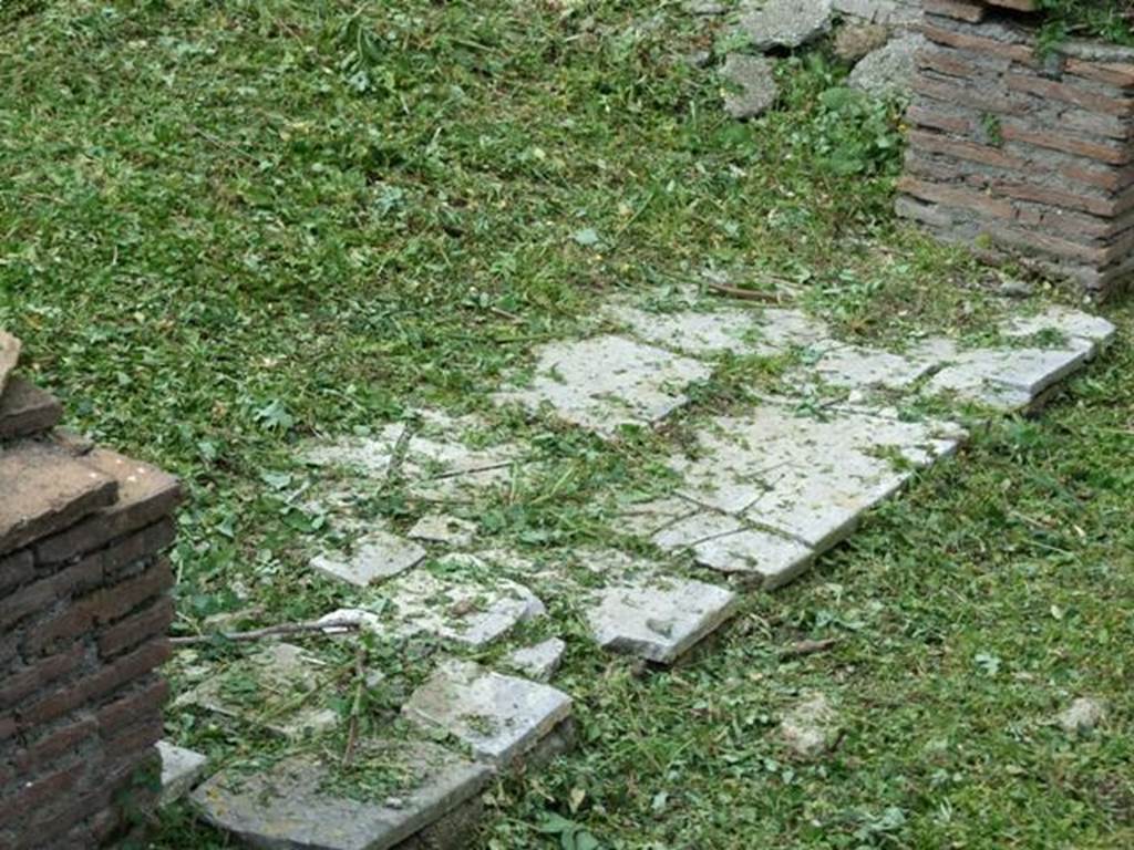 VI.15.6 Pompeii. March 2009.  Room 5.  Tablinum.  Remains of flooring.