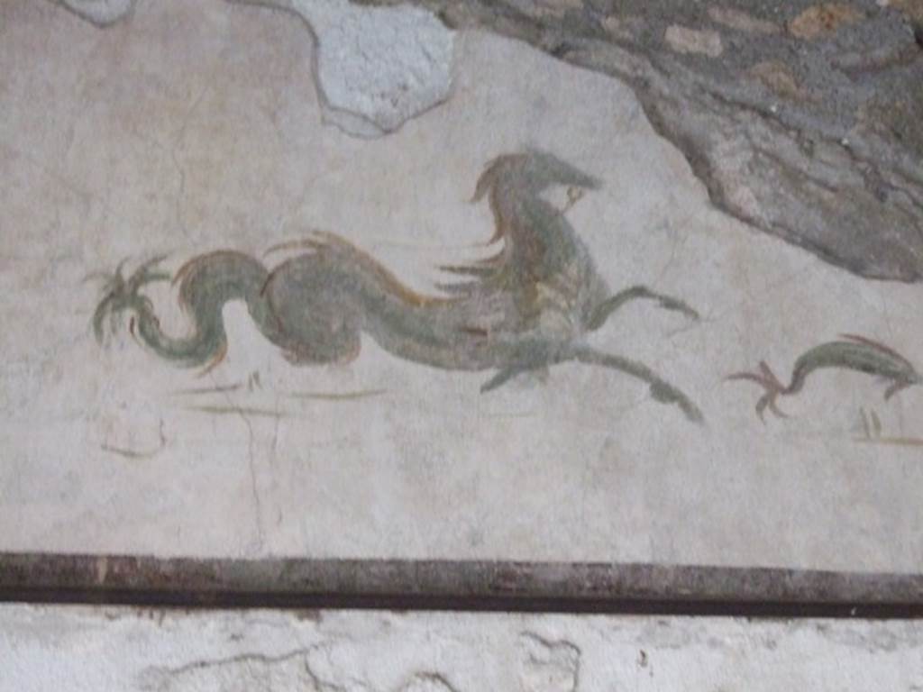 VI.15.8 Pompeii. December 2007. Detail of hippocampus and dolphin, sea creatures in tablinum.
