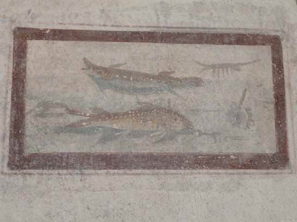 VI.15.8 Pompeii. May 2010. Painted panel of fishes on west wall of tablinum.