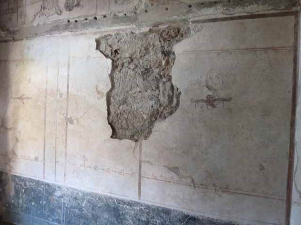 VI.15.8 Pompeii. May 2010. West wall of cubiculum. According to NdS, the walls were painted with a white background, and in the panels were flying swans and goats. See Notizie degli Scavi, 1897, January, p. 35.
