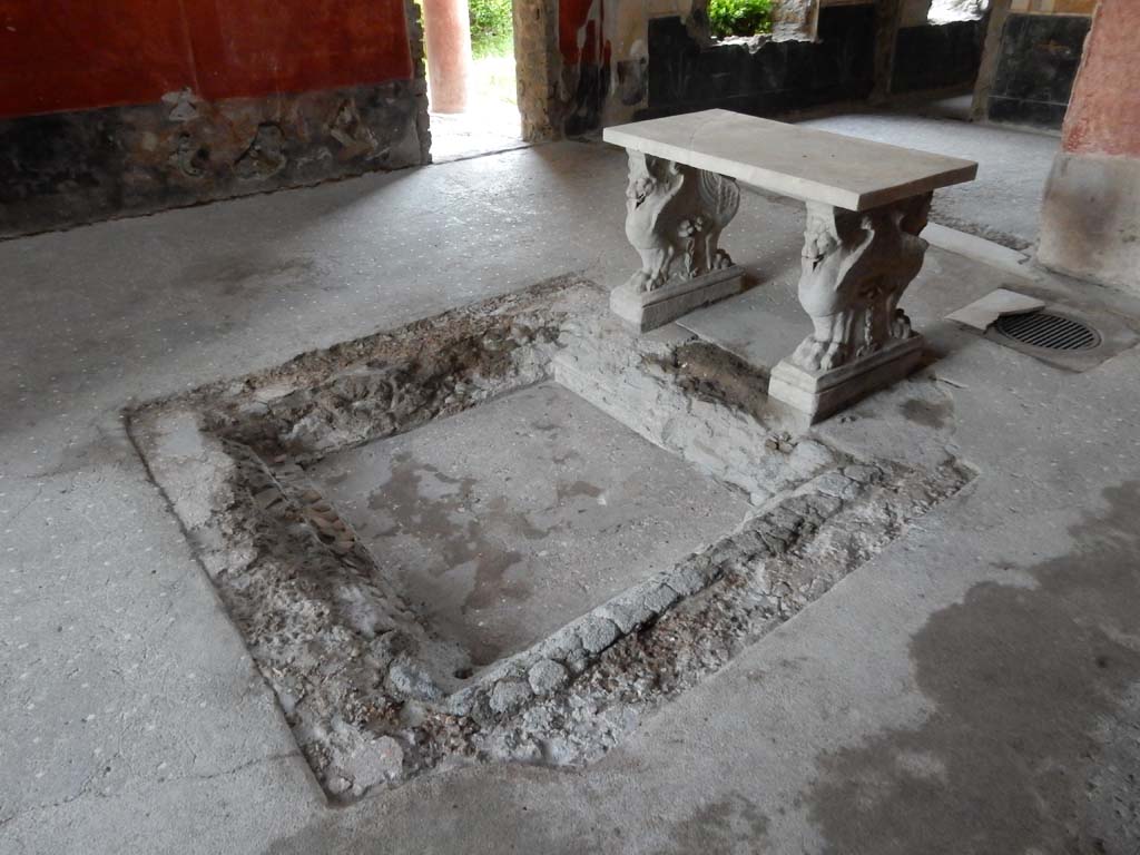 VI.15.8 Pompeii. June 2019. Impluvium in atrium. Photo courtesy of Buzz Ferebee.

