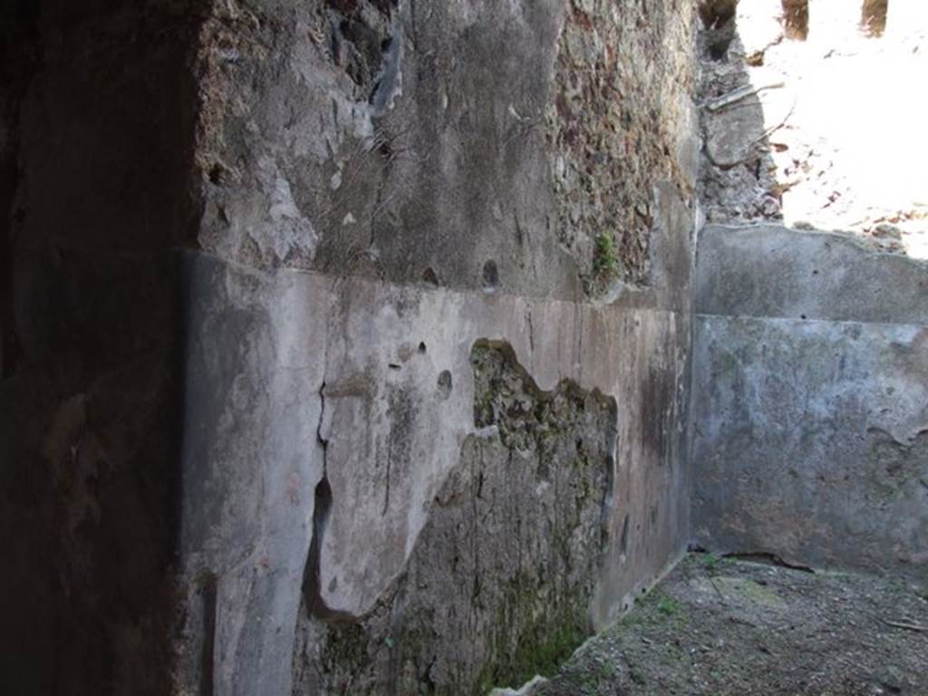 VI.15.9 Pompeii.  March 2009.  Ala.  West wall.