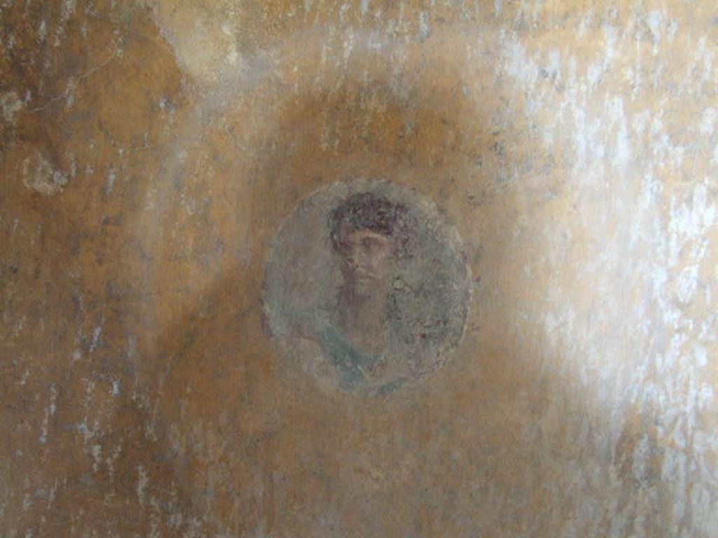 VI.16.7 Pompeii. May 2010. Room R, painted medallion on north end of the west wall.