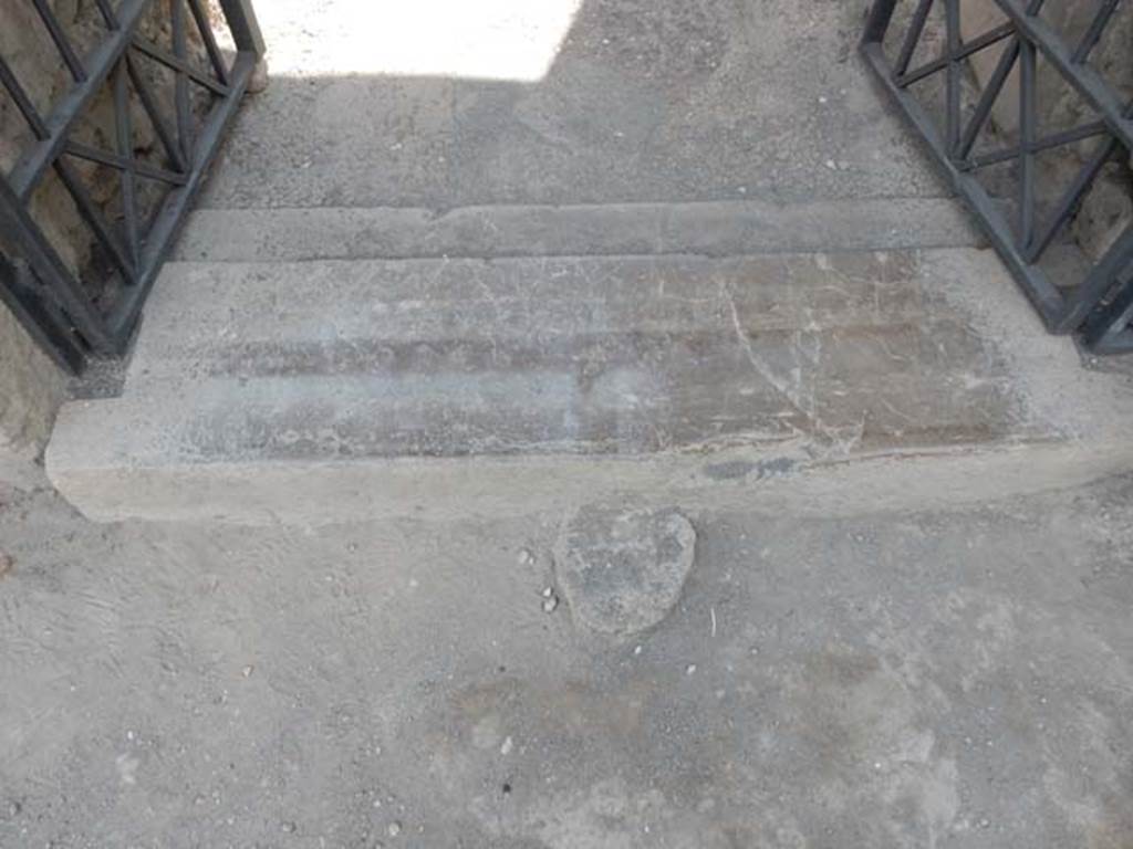 VI.16.7 Pompeii. May 2016. Steps and threshold at entrance doorway. Photo courtesy of Buzz Ferebee.

