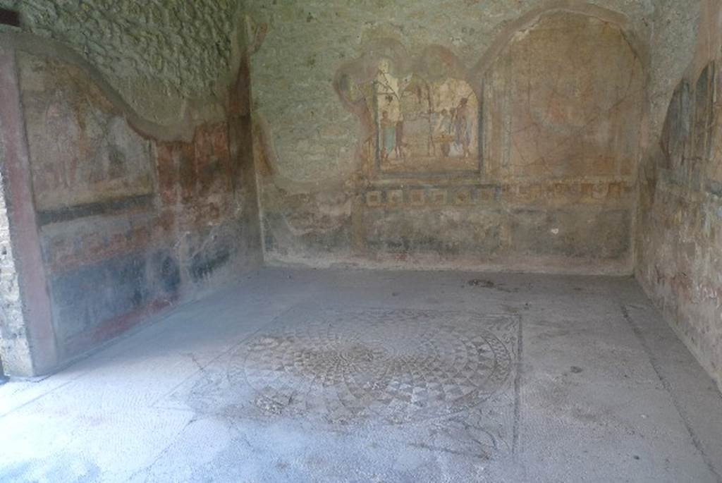 VI.16.7 Pompeii. May 2016. Room E, detail from centre mosaic. Photo courtesy of Buzz Ferebee.
