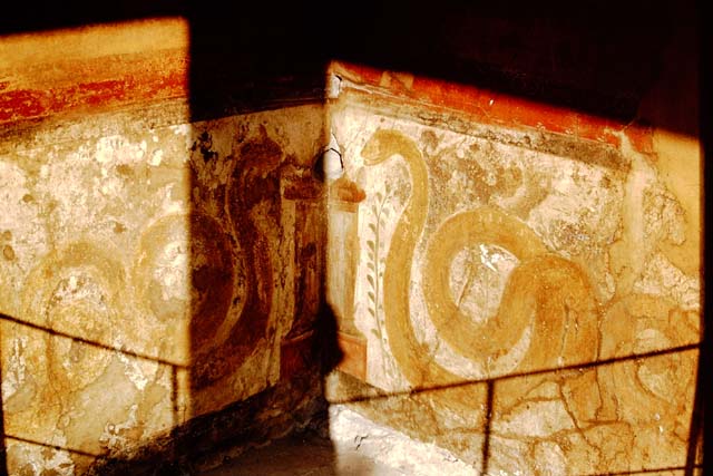 VI.16.7 Pompeii. May 2006. Room F, south wall of peristyle.  Lararium with painted serpents on either side of a painted altar.
