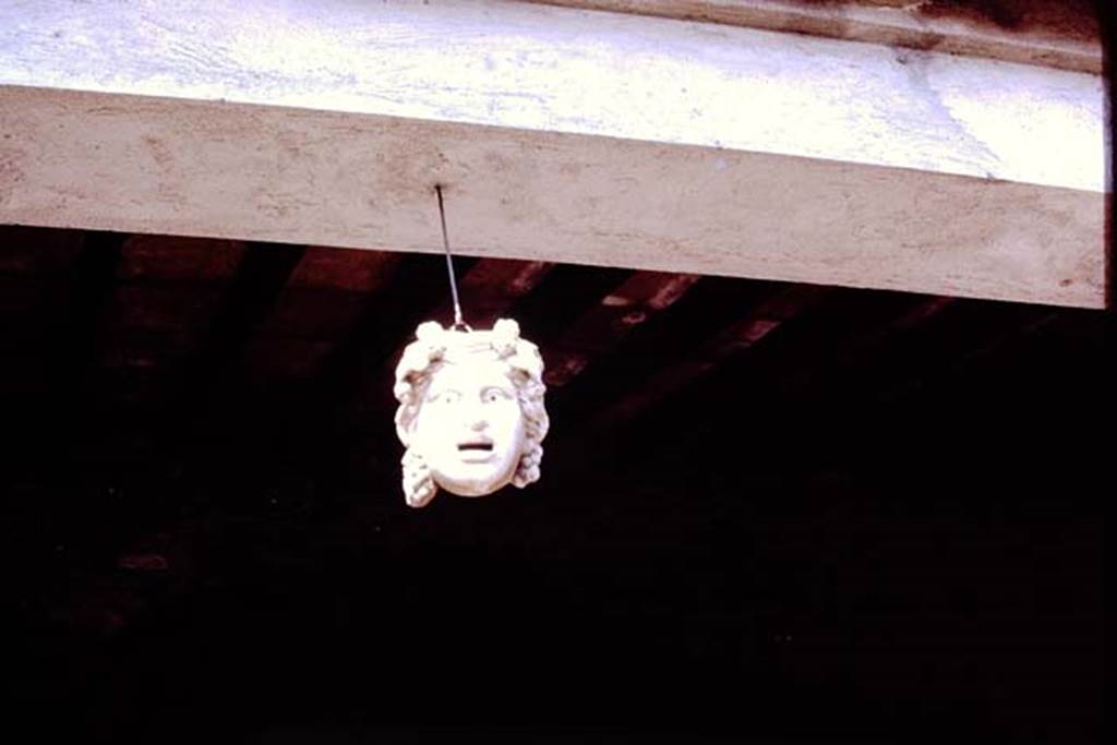 VI.16.7 Pompeii. 1977. Marble mask of a maenad hanging between the columns of the peristyle in the north-west corner, Photo by Stanley A. Jashemski.   
See Jashemski, W. F., 1993. The Gardens of Pompeii, Volume II: Appendices. New York: Caratzas. (p.162-3)
Source: The Wilhelmina and Stanley A. Jashemski archive in the University of Maryland Library, Special Collections (See collection page) and made available under the Creative Commons Attribution-Non Commercial License v.4. See Licence and use details. J77f0562
