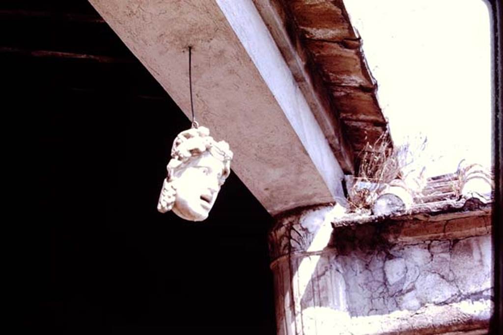 VI.16.7 Pompeii. 1977. Marble mask hanging between the columns of the perisytyle in the north-west corner. Photo by Stanley A. Jashemski.   
Source: The Wilhelmina and Stanley A. Jashemski archive in the University of Maryland Library, Special Collections (See collection page) and made available under the Creative Commons Attribution-Non Commercial License v.4. See Licence and use details. J77f0563
