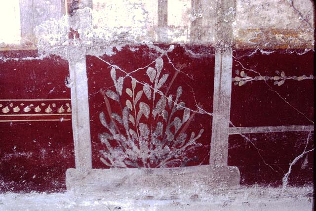VI.16.7 Pompeii, September 2021. Room Q, painted plant at east end of zoccolo on north wall. Photo courtesy of Klaus Heese.