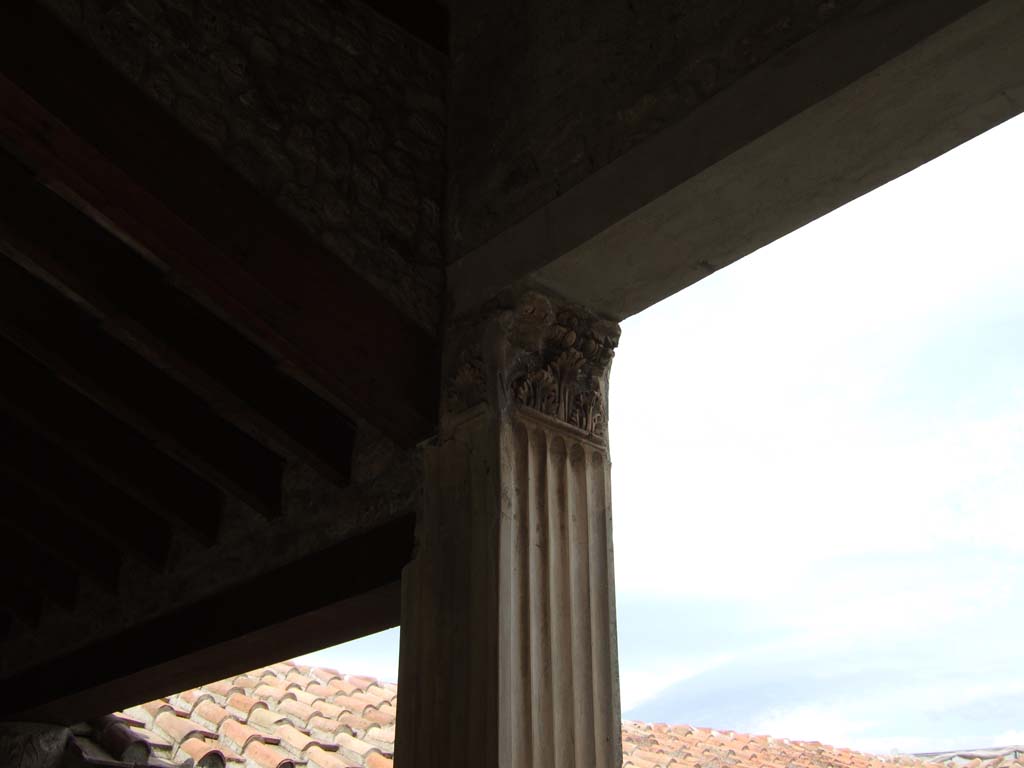 VI.16.7 Pompeii. May 2016. Room F, lower part of painting on west wall of west portico. Photo courtesy of Buzz Ferebee.
