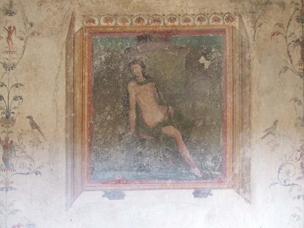 VI.16.15 Pompeii. December 2006. Wall painting of Narcissus, on west wall of tablinum D.