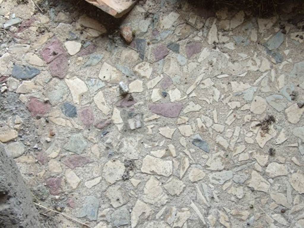 VI.16.27 Pompeii. March 2009. Room N, floor of coloured marble chippings.